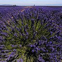 ���� Ihor, ��������, 54 ���� - ��������� 4 ������ 2011