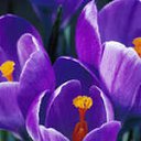 ���� �������, ������-��-����, 55 ��� - ��������� 4 ������ 2012