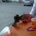 ���� Sant, �����-��������� - ��������� 24 ������� 2012 � ������ ������� ��