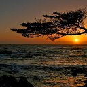 ���� �����, ������ - ��������� 15 ������� 2011 � ������ ���� ����������