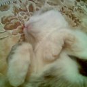 ���� ����, ��� - ��������� 11 ������ 2010 � ������ ���� ������� �������