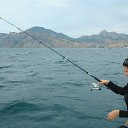 ���� �������, �����-���������, 44 ���� - ��������� 9 ����� 2012 � ������ ���� ����������