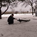 ���� �������, ���������, 49 ��� - ��������� 26 ���� 2013