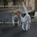 ���� ��������, ��������������, 57 ��� - ��������� 7 ������� 2009 � ������ �������
