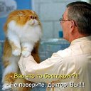 ���� �����, ������ - ��������� 10 ������ 2012 � ������ ���� ����������