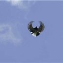 ���� ������, ������������, 40 ��� - ��������� 2 ������� 2012