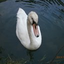 ���� �����, �����, 50 ��� - ��������� 9 ������ 2012 � ������ �������