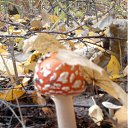 ���� ���@����@, �������, 49 ��� - ��������� 14 ������� 2011 � ������ ���� ����������