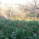 ���� ����, ������ ����, 41 ��� - ��������� 26 �������� 2011 � ������ �������