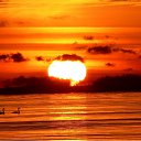 ���� Margarita, ������ - ��������� 19 �������� 2011 � ������ ��������