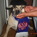 ���� ������, ����� - ��������� 19 ������ 2012 � ������ ���� ����������