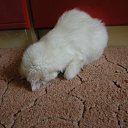  _--_, , 24  -  15  2013    