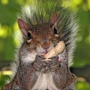  Andy, , 52  -  6  2010    