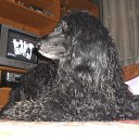 ���� ��������, ������, 73 ���� - ��������� 1 ������ 2013