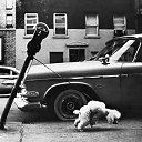 ���� ��������, �����-���������, 58 ��� - ��������� 20 ������ 2010 � ������ �������