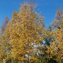 ���� Natalja, �����������, 54 ���� - ��������� 5 ����� 2012 � ������ ���� ����������