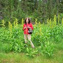 ���� ����� ����������, ����������, 105 ��� - ��������� 25 ������ 2013 � ������ ���� ����������