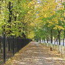 ���� �����, ������������, 38 ��� - ��������� 15 ������ 2011 � ������ ���� ����������