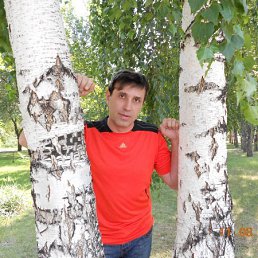 �����, ����������