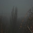 ���� �����, ������������, 32 ���� - ��������� 24 ������� 2011 � ������ ���� ����������