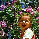  ,  -  3  2012     ӻ