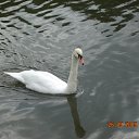 ����� ������ =) �� ������� �������� � ��������. 26.09.09�