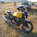  Dmitriy, , 40  -  20  2009   