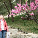 ���� ������ ��������, ������, 60 ��� - ��������� 15 ������ 2013 � ������ ���� ����������