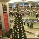  ~_o~, , 62  -  28  2010    ...