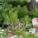 ���� �������, ��������, 59 ��� - ��������� 3 ���� 2012 � ������ ���� ����������