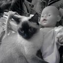 ���� ���@����@, �������, 49 ��� - ��������� 14 ����� 2010 � ������ ���� �����