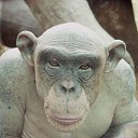 ���� ����� - ���������� ��������!!!, �����������, 56 ��� - ��������� 13 ������� 2009 � ������ ��������� (�����)�