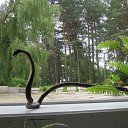 ���� Elena, ����, 106 ��� - ��������� 22 ����� 2013 � ������ ���� ����������