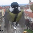 ���� �����, ����� - ��������� 16 ��� 2012 � ������ ���� ����������