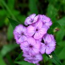   - , , 65  -  2  2012   