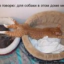 ���� ��������, ��������������, 57 ��� - ��������� 7 ������� 2009 � ������ �������