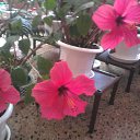 ���� ��������, ������ - ��������� 27 �������� 2010 � ������ �������