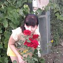 ���� ����, �������, 41 ��� - ��������� 20 ���� 2013 � ������ ���� ����������