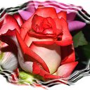 ���� ��������, ����, 65 ��� - ��������� 12 ��� 2013 � ������ ���� ����������