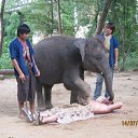 ���� ������, �����������, 53 ���� - ��������� 5 ������� 2011