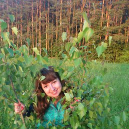 ���� �����, ������, 42 ���� - ��������� 13 ������ 2013