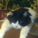 ���� ������, ��������� - ��������� 5 ����� 2011 � ������ ����...�