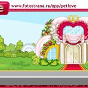 ���� �����, ������, 23 ���� - ��������� 17 ������ 2010 � ������ �PetLove�