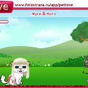  , , 24  -  10  2010   PetLove