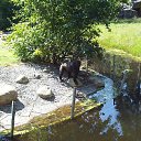 ���� ������, �����-���������, 60 ��� - ��������� 27 ������� 2009 � ������ �������� 2009�