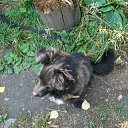 ���� ���������, ��������, 32 ���� - ��������� 3 ���� 2012 � ������ ���� ����������