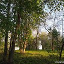 ���������� ����. 10 ��� 2013 �� ������� �������