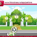  , , 48  -  12  2010   PetLove