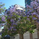 ���� �����, ����������� - ��������� 20 ������� 2011 � ������ ���������