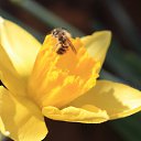  ok, --, 44  -  7  2010   